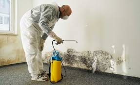 Best Emergency Mold Remediation  in Hercules, CA