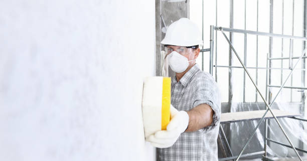 Best Post-Construction Mold Inspection  in Hercules, CA