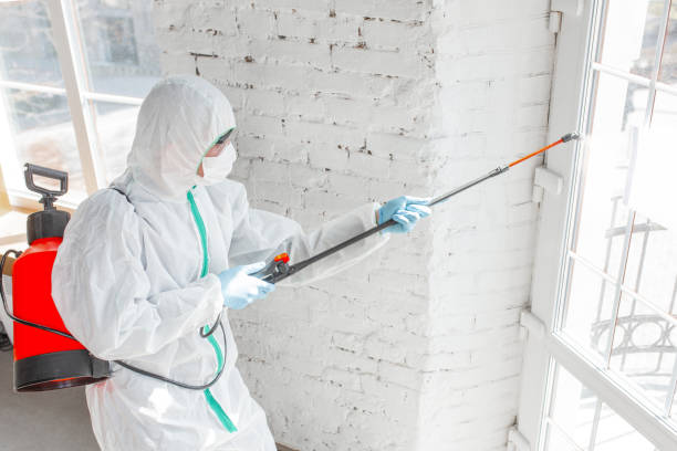 Best Environmental Consulting for Mold Prevention  in Hercules, CA