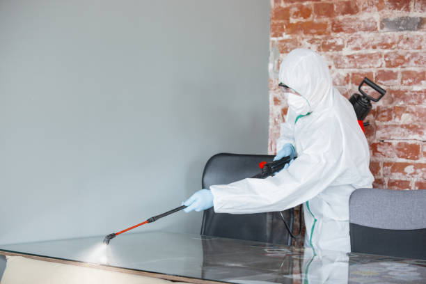 Best Crawl Space Mold Remediation  in Hercules, CA