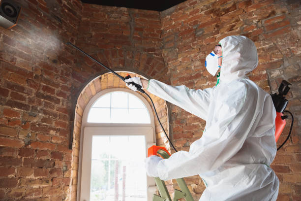 Best Environmental Consulting for Mold Prevention  in Hercules, CA